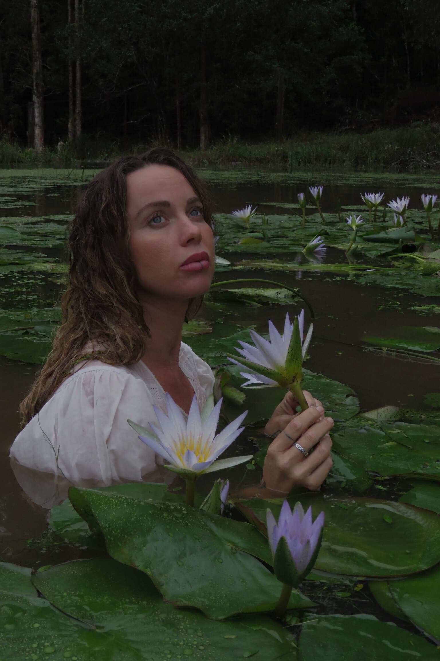 Hands in sacred lotus water