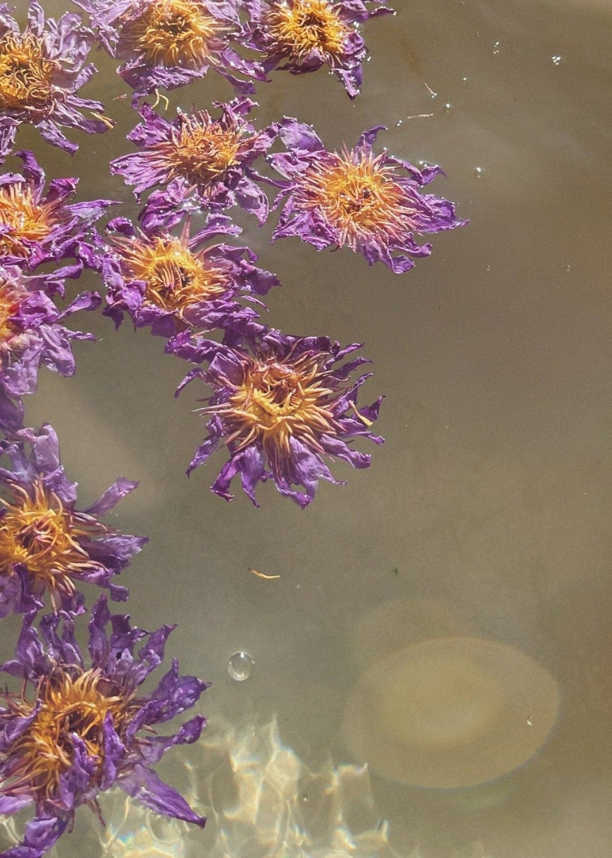 a gateway to the divine