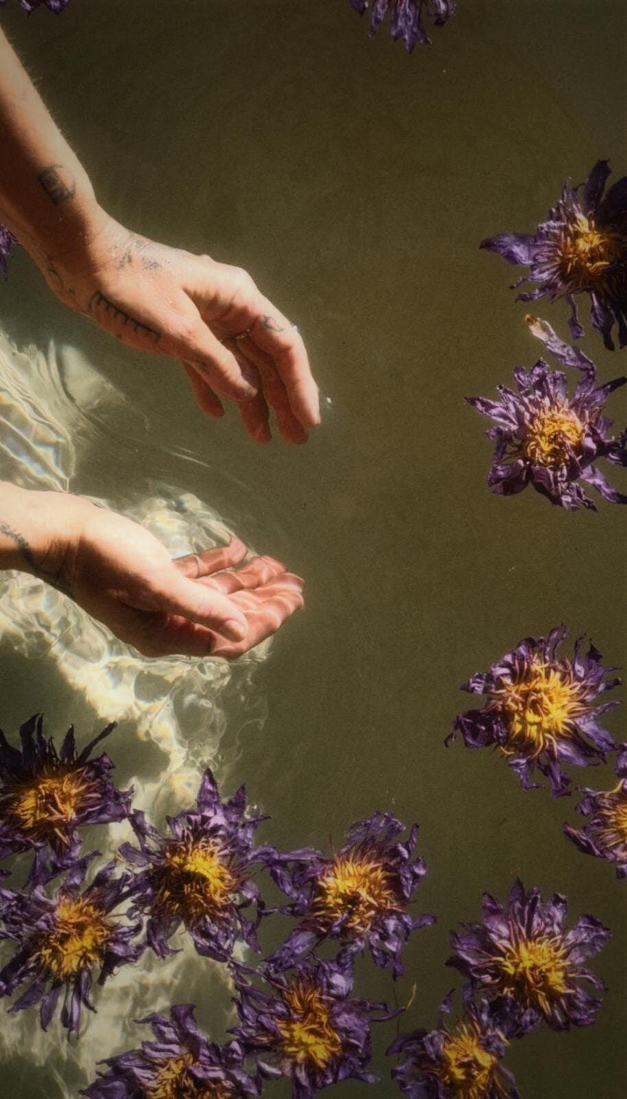 Sacred oil lifestyle