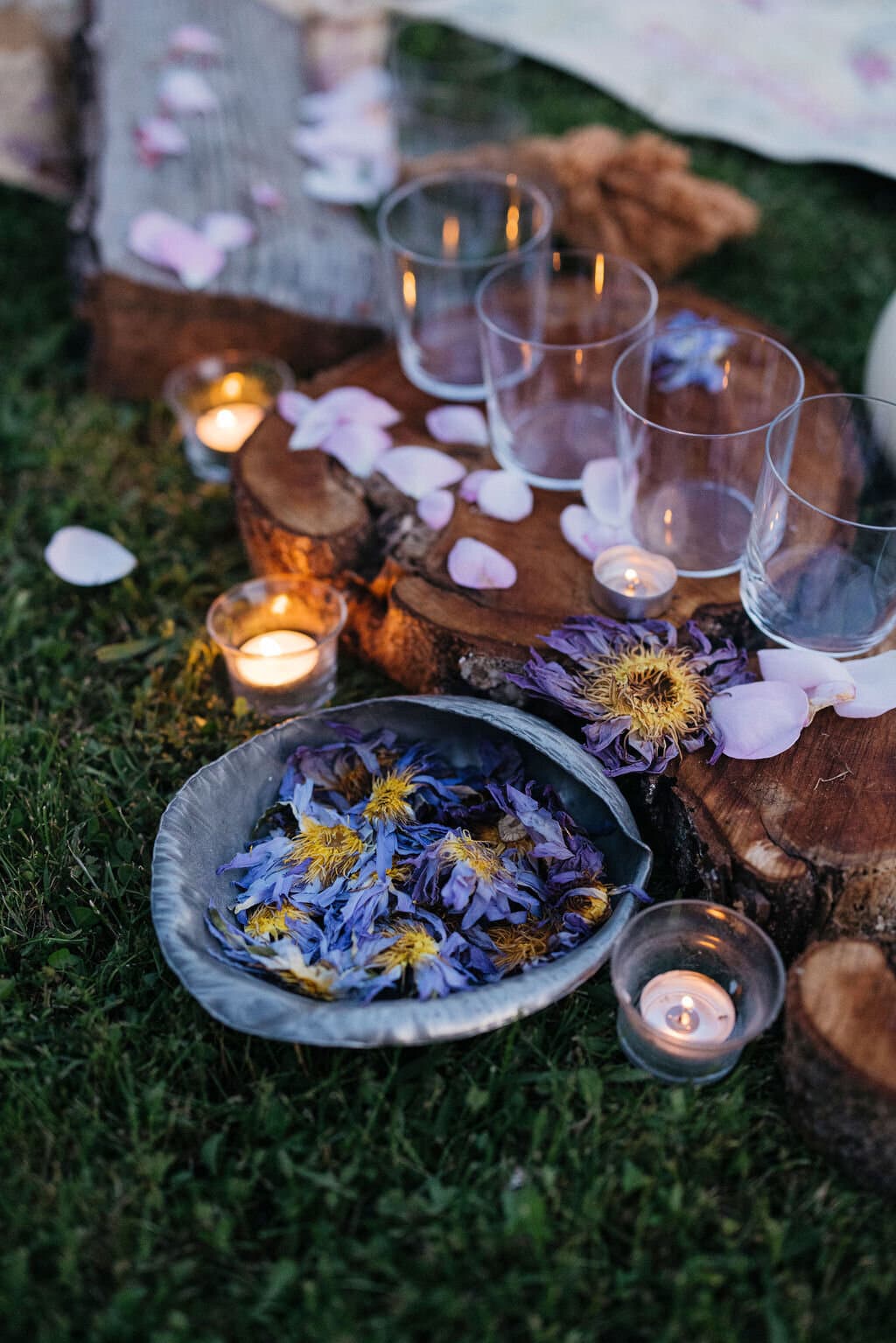 Blue Lotus flowers and golden light
